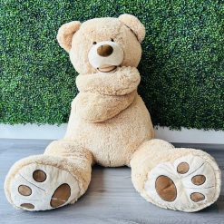 Alternative view of Westcoast Balloon Teddy Bears Stuffed Animal Rental