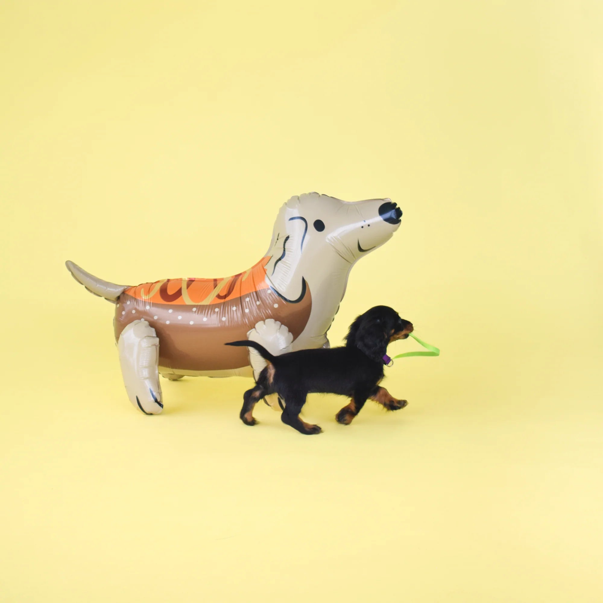 Westcoast Balloon Trick Or Treat Street Hot Dog Dachshund Mylar Balloon - Image 2
