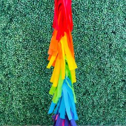Westcoast Balloon 4Ft Rainbow Tissue Tassel