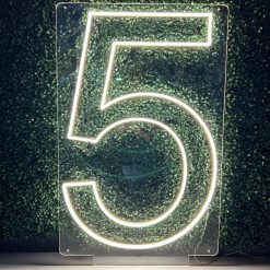 Westcoast Balloon Number 5 Neon Sign Rental
