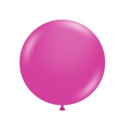 Westcoast Balloon 17084 Tuftex Pixie 17 Round (50Ct)