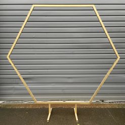 Westcoast Balloon Hexagon Hoop Rental