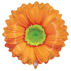 Westcoast Balloon 35251 Bright Blooms