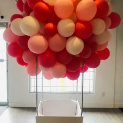 Westcoast Balloon Hot Air Balloon Frame