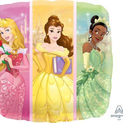 Westcoast Balloon 33806 Multi-Princess Dream Big, Bulk