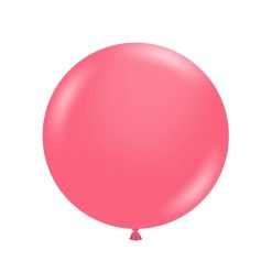 Westcoast Balloon 17093 Tuftex Taffy 17 Round (50Ct)