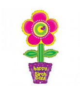 Westcoast Balloon 85746 Birthday Flower Pot