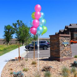 Westcoast Balloon PermaShine 14-Balloon Tree Kit With Ground Mount