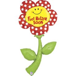 Westcoast Balloon 85771 Fresh Picks Feel Better
