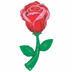 Westcoast Balloon 85725 Fresh Picks Single Red Rose