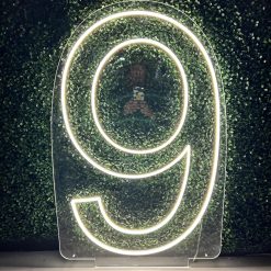 Westcoast Balloon Number 9 Neon Sign Rental