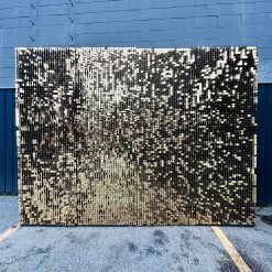 Westcoast Balloon 8X10Ft Shimmer Wall Rental