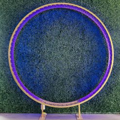 Westcoast Balloon 6Ft *Light Up* Mesh-A-Round Hoop Rental