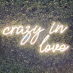 Westcoast Balloon Crazy In Love Neon Sign Rental