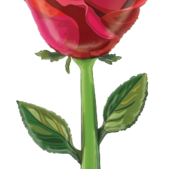 Westcoast Balloon 25427 Fresh Picks Satin Rose
