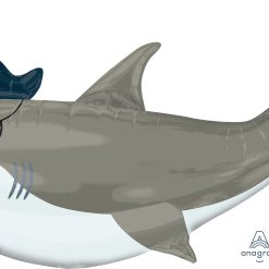 Westcoast Balloon 38482 Ahoy Shark