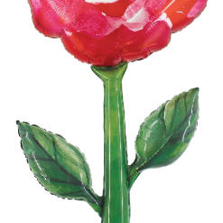 Westcoast Balloon 25162 Fresh Picks Watercolor Rose