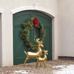 Alternative view of Westcoast Balloon FB245 Reindeer