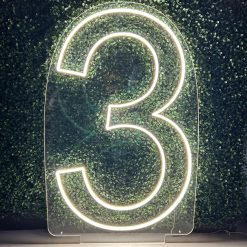 Westcoast Balloon Number 3 Neon Sign Rental